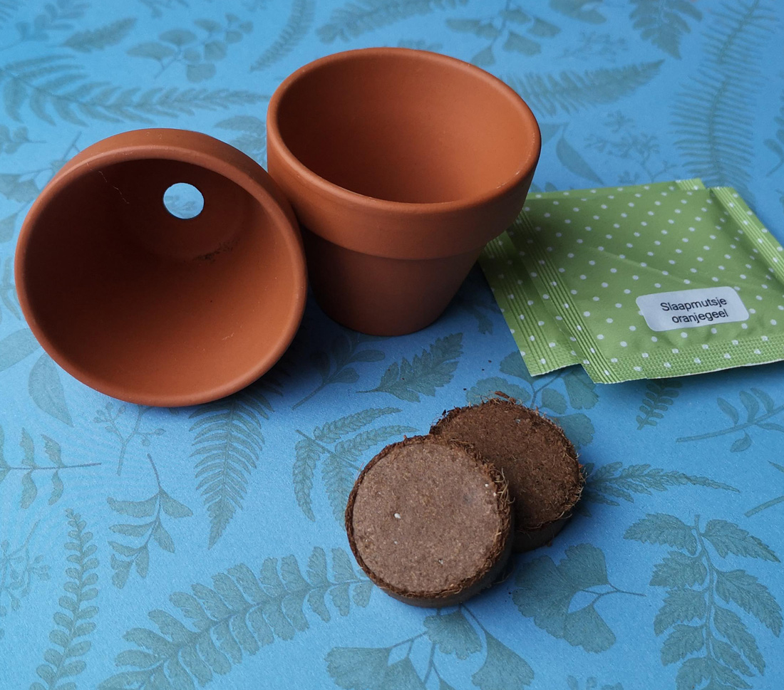 Terracotta potje, aardetablet zaden zaden | Happy Seeds webwinkel