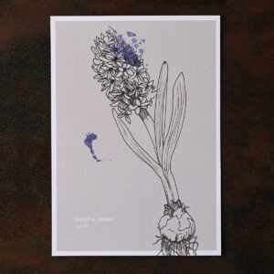 Sorry - Hyacint bloementaal ansichtkaartje